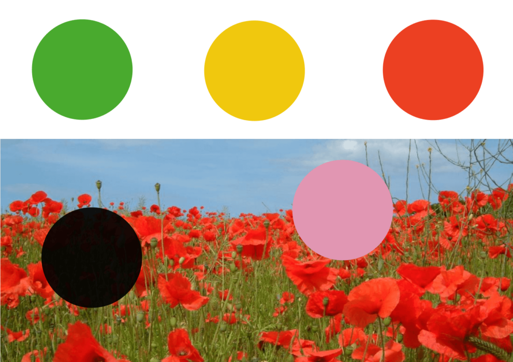 color palette_poppies