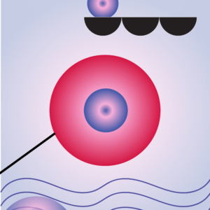 Summer Dream/Ilustracja